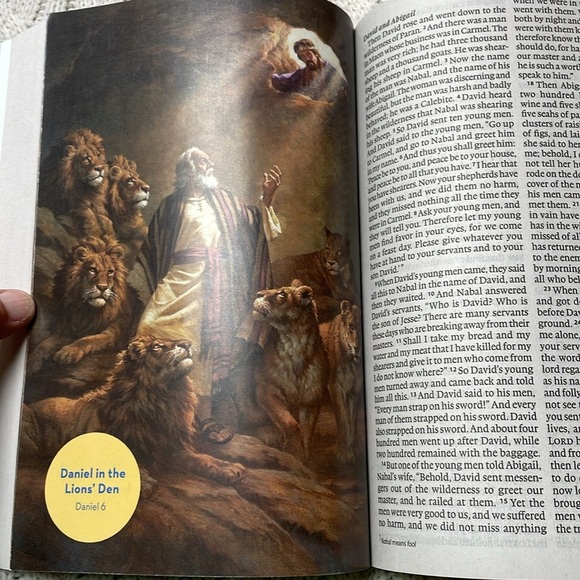 The Holy Bible for Kids 1148 pages with colored images paperback blue cover - Picture 3 of 12